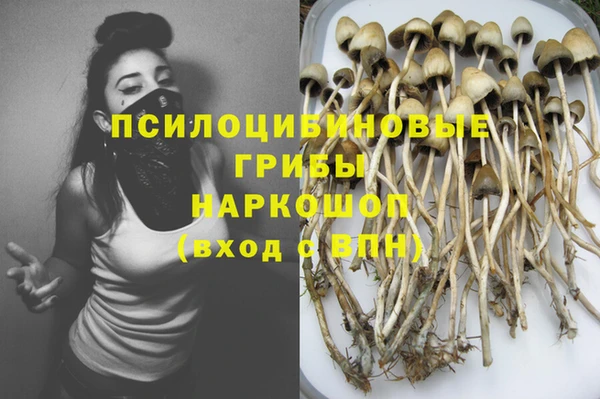 гидропоника Алексин